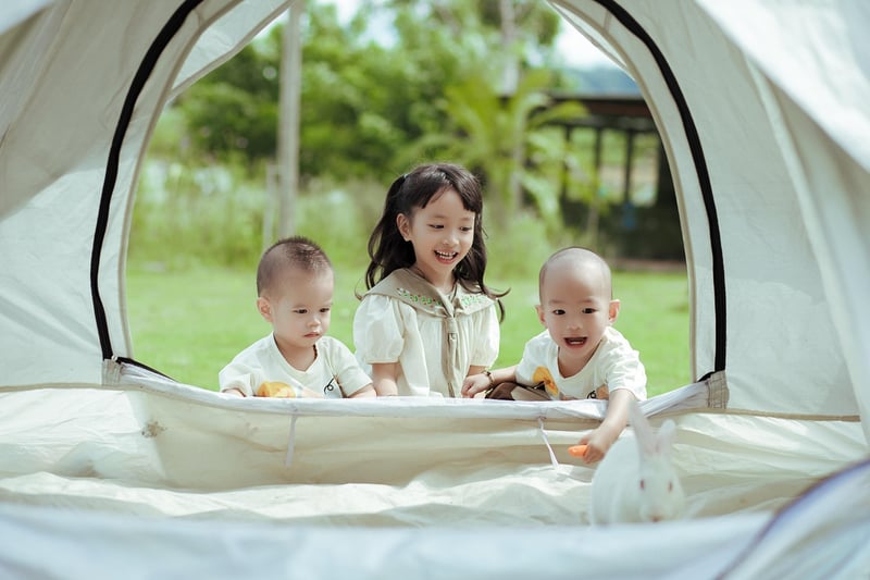 Pixie Picnics